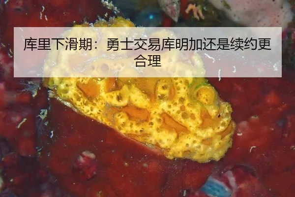 ku-li-xia-hua-qi-yong-shi-jiao-yi-ku-ming-jia-hai-shi-xu-yue-geng-he-li-3-338.jpg